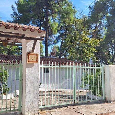 Villa Nefeli Sani  Ngoại thất bức ảnh